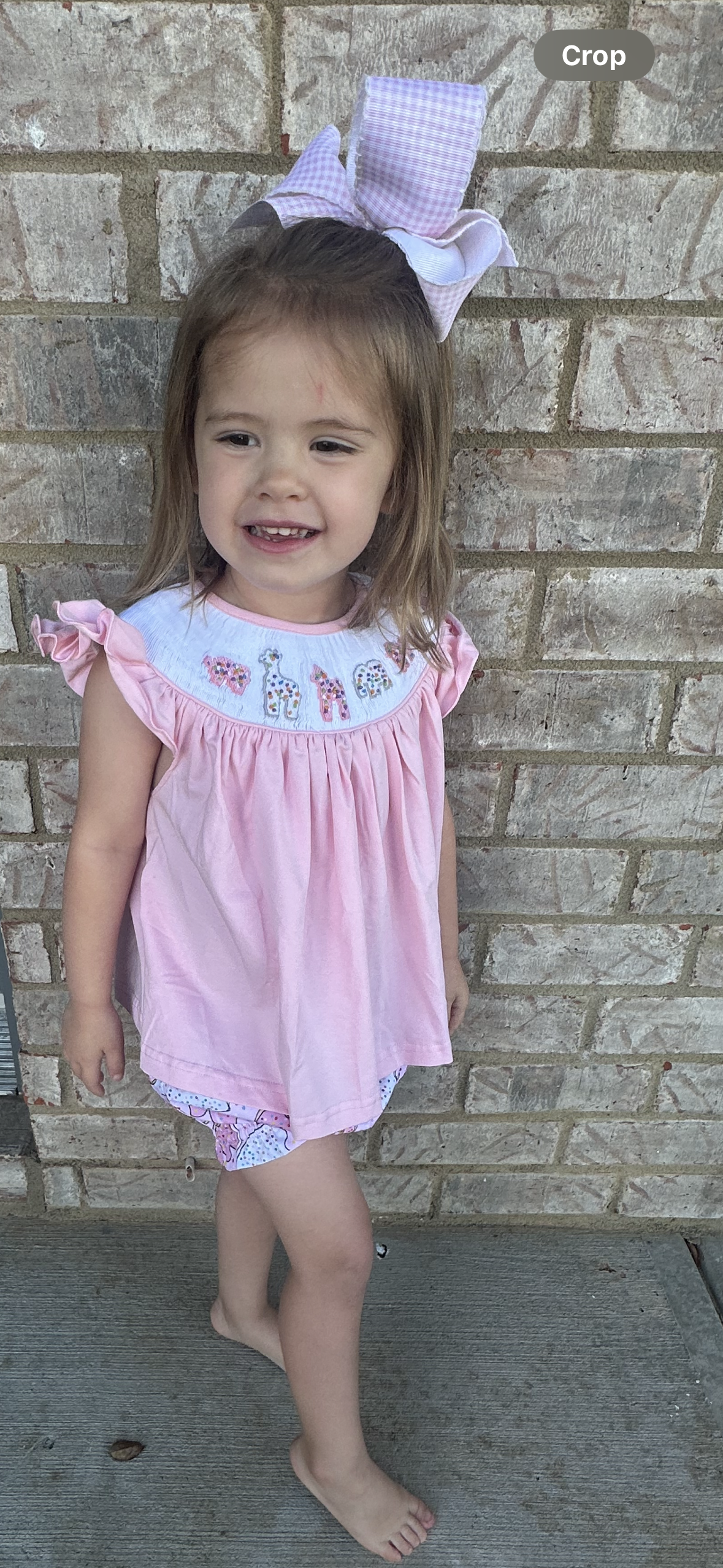 Pink Animal Cookie Bloomer Set